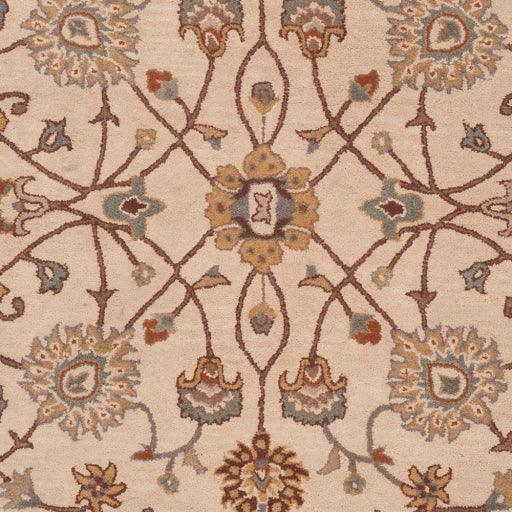 Surya Caesar CAE-1081 10' x 14' Rug