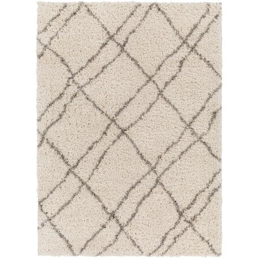 Surya Capella Shag CPS-2306 5'3" x 7' Rug