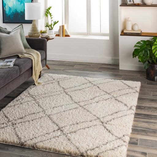 Surya Capella Shag CPS-2306 5'3" x 7' Rug