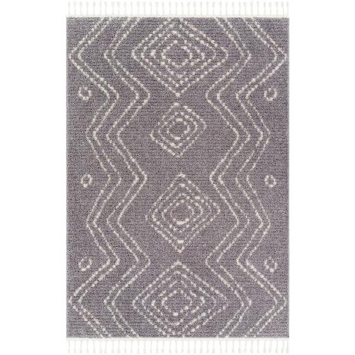 Surya Casablanca Shag CAG-2314 5'3" x 7' Rug