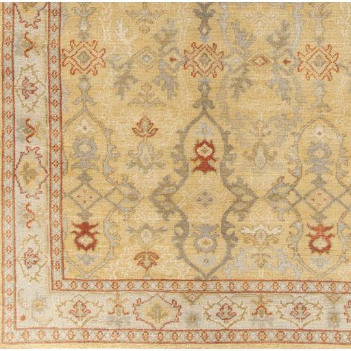 Surya Castle CSL-6000 2' x 3' Rug