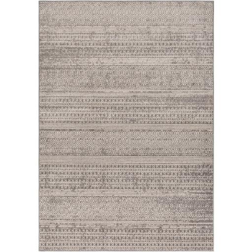 Surya Chester CHE-2304 6'7" x 9' Rug