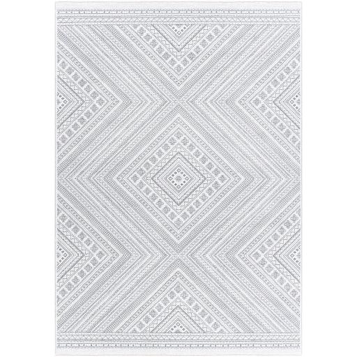 Surya Contempo CPO-3857 2'7" x 7'10" Rug