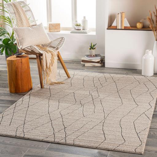 Surya Cozy CZY-2300 5'3" x 7' Rug