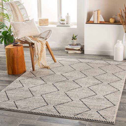 Surya Cozy CZY-2302 5'3" x 7' Rug