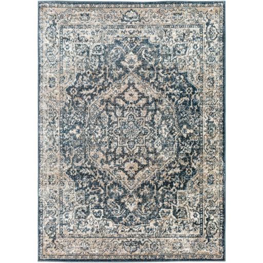 Surya Davaro DAV-2310 6'7" x 9' Rug