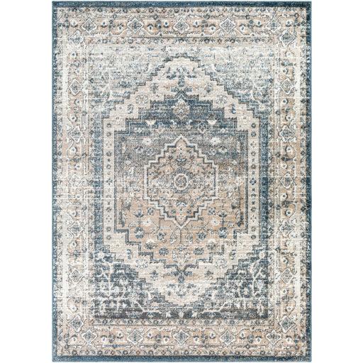 Surya Davaro DAV-2319 6'7" x 9' Rug