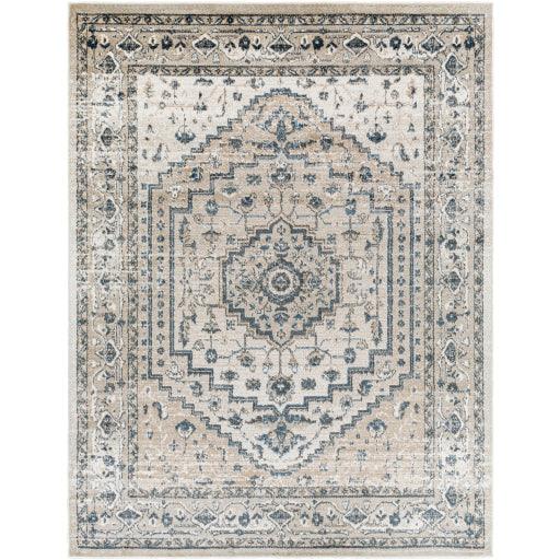 Surya Davaro DAV-2320 6'7" x 9' Rug