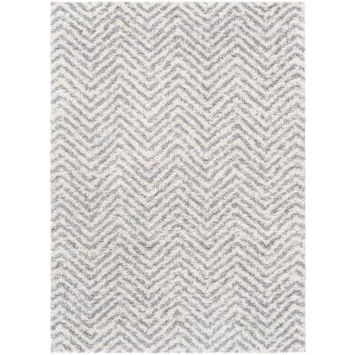 Surya Deluxe Shag DXS-2307 6'7" x 9' Rug