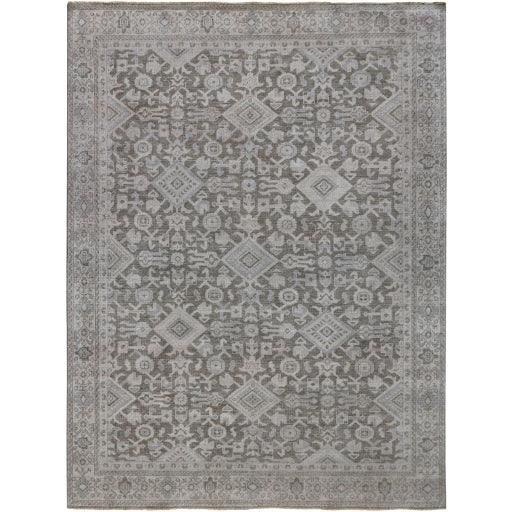 Surya Draco DRC-1000 2' x 3' Rug