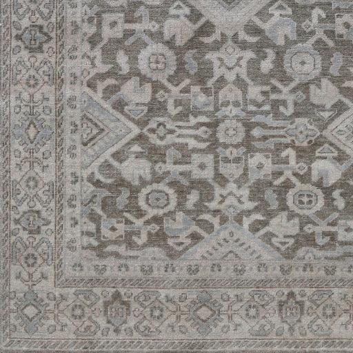 Surya Draco DRC-1000 2' x 3' Rug