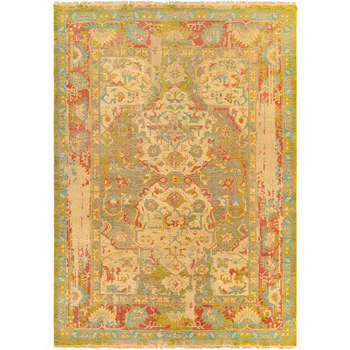 Surya Festival FVL-1000 2' x 3' Rug