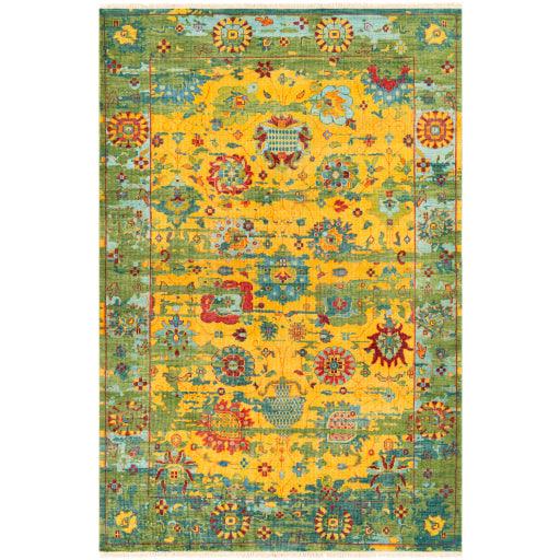 Surya Festival FVL-1005 2' x 3' Rug