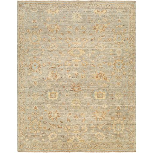 Surya Ghazni GHZ-2302 2' x 3' Rug