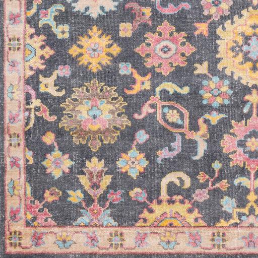 Surya Gorgeous GGS-1000 2' x 3' Rug