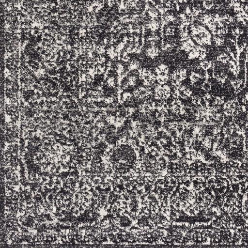 Surya Harput HAP-1028 7'10" x 10'3" Rug