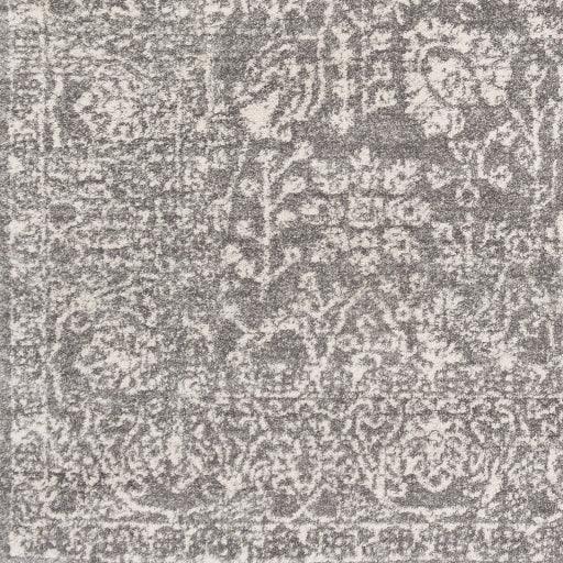 Surya Harput HAP-1029 6'7" x 9' Rug