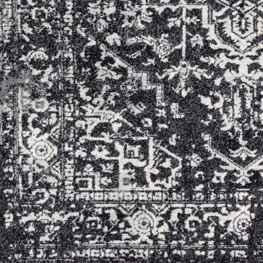 Surya Harput HAP-1087 7'10" x 10'3" Rug