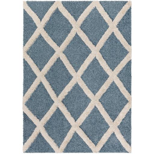 Surya Hudson Shag HDS-2301 5'3" x 7' Rug