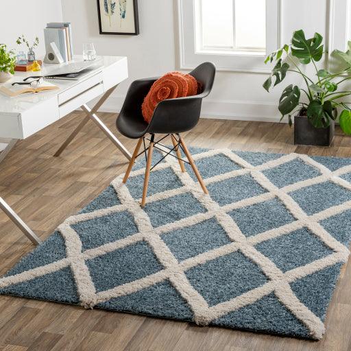 Surya Hudson Shag HDS-2301 5'3" x 7' Rug