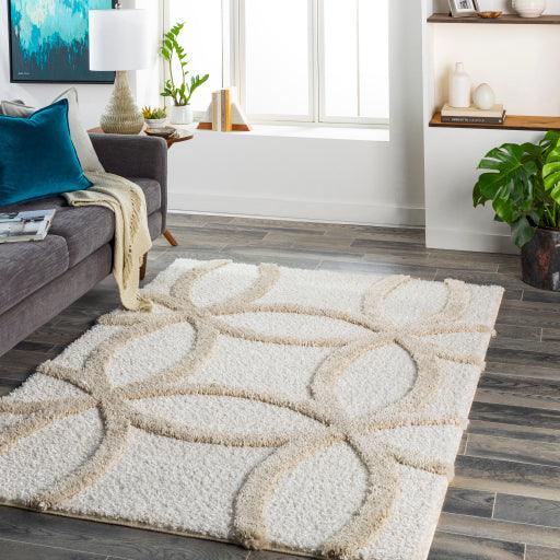 Surya Hudson Shag HDS-2303 5'3" x 7' Rug