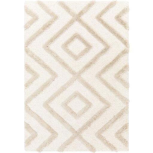 Surya Hudson Shag HDS-2309 5'3" x 7' Rug