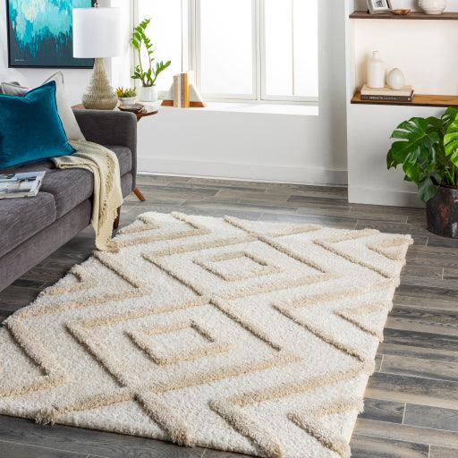 Surya Hudson Shag HDS-2309 5'3" x 7' Rug