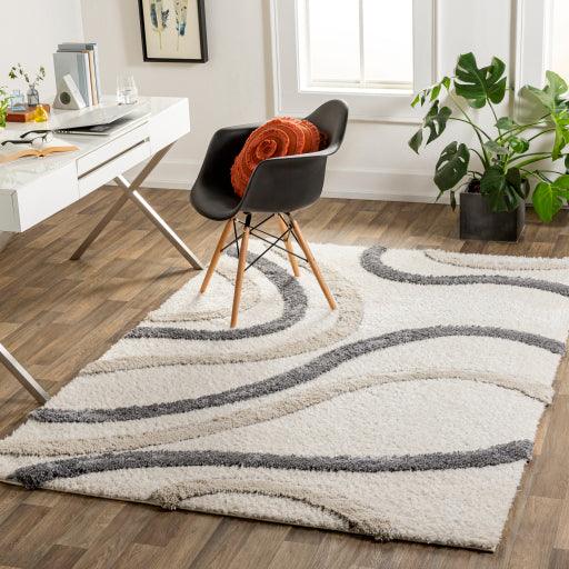 Surya Hudson Shag HDS-2313 5'3" x 7' Rug