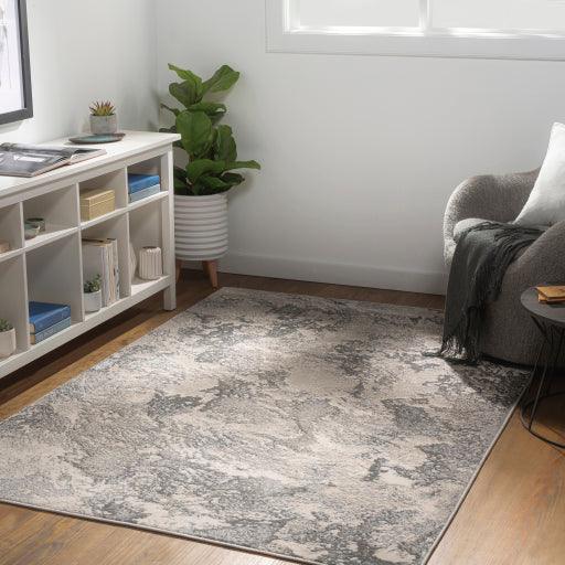 Surya Impulse IPS-2301 4'3" x 5'11" Rug