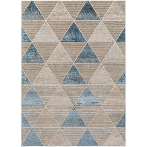 Surya Impulse IPS-2306 4'3" x 5'11" Rug