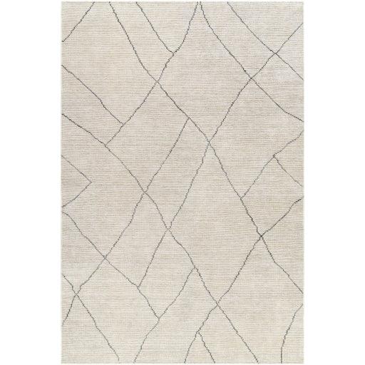 Surya Nalan NYL-2303 2' x 3' Rug