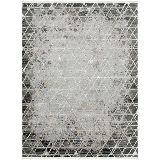 Surya Obsession OBN-2301 7'10" x 10' Rug