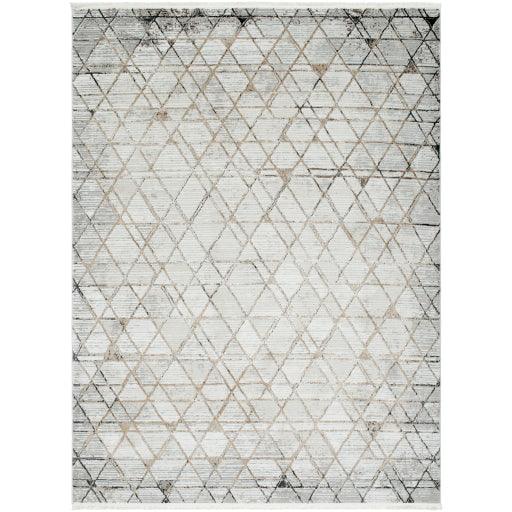 Surya Obsession OBN-2302 7'10" x 10' Rug