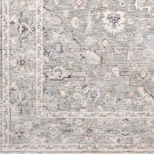 Surya Palazzo PZL-2300 2' x 3'3" Rug