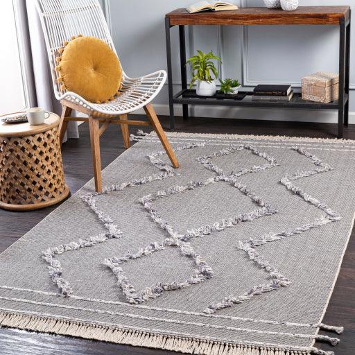 Surya Palo Alto PLA-2303 2' x 3' Rug