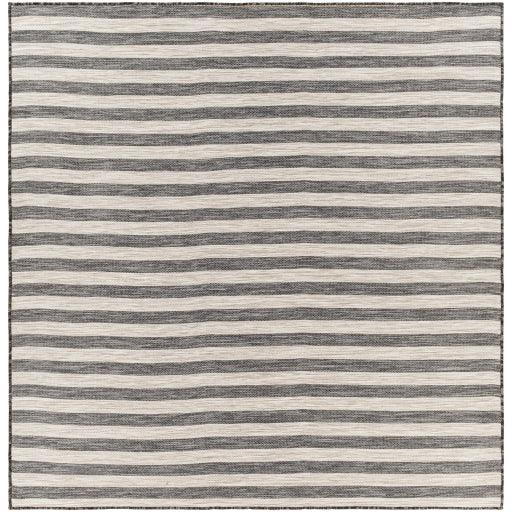 Surya Pasadena PSA-2304 2'7" x 10' Rug