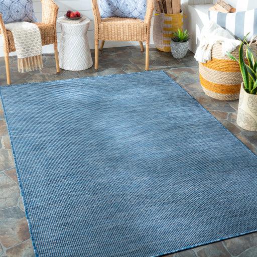 Surya Pasadena PSA-2310 2'6" x 7'3" Rug