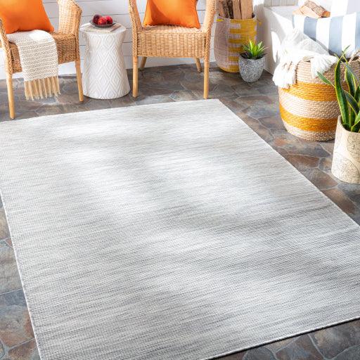 Surya Pasadena PSA-2315 2'6" x 7'3" Rug