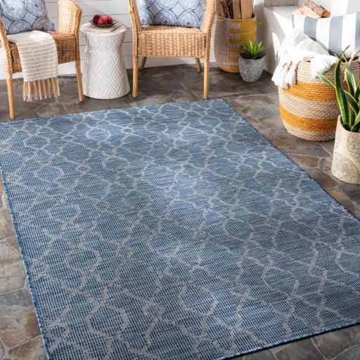 Surya Pasadena PSA-2333 2'6" x 7'3" Rug