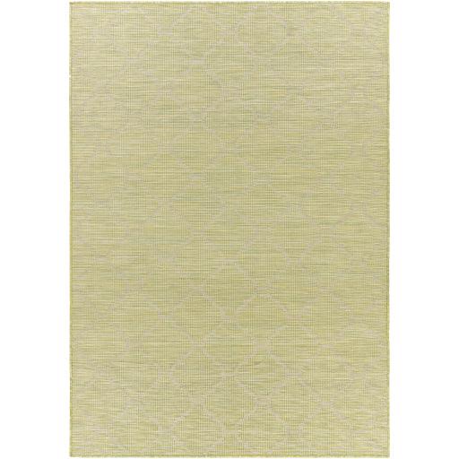 Surya Pasadena PSA-2337 2'6" x 7'3" Rug