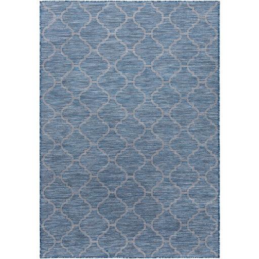 Surya Pasadena PSA-2340 2'6" x 7'3" Rug