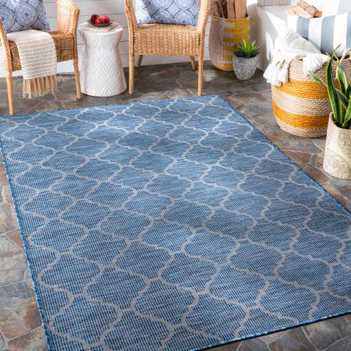 Surya Pasadena PSA-2340 2'6" x 7'3" Rug