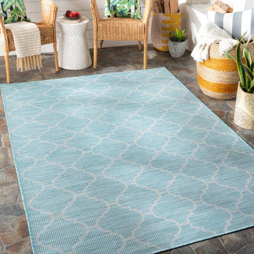 Surya Pasadena PSA-2341 2'6" x 7'3" Rug