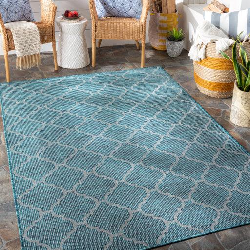 Surya Pasadena PSA-2342 2'6" x 7'3" Rug