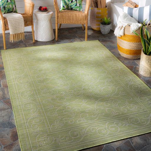 Surya Pasadena PSA-2355 2'6" x 7'3" Rug