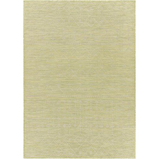 Surya Pasadena PSA-2372 2'6" x 7'3" Rug