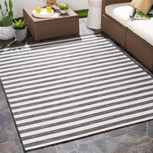 Surya Pasadena PSA-2382 2'7" x 7'3" Rug