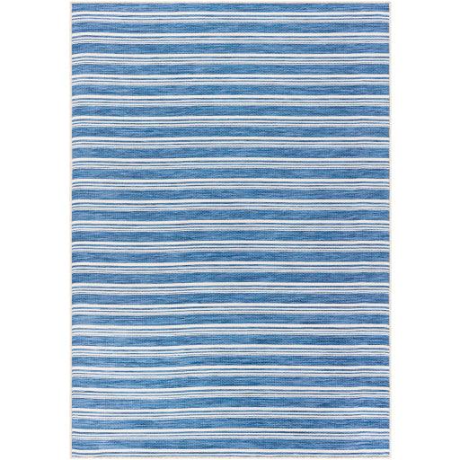 Surya Pasadena PSA-2383 2'7" x 7'3" Rug