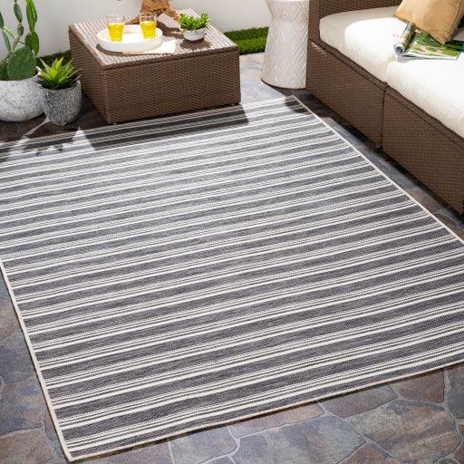 Surya Pasadena PSA-2384 2'7" x 7'3" Rug