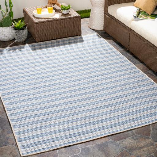 Surya Pasadena PSA-2385 7'10" x 10'2" Rug